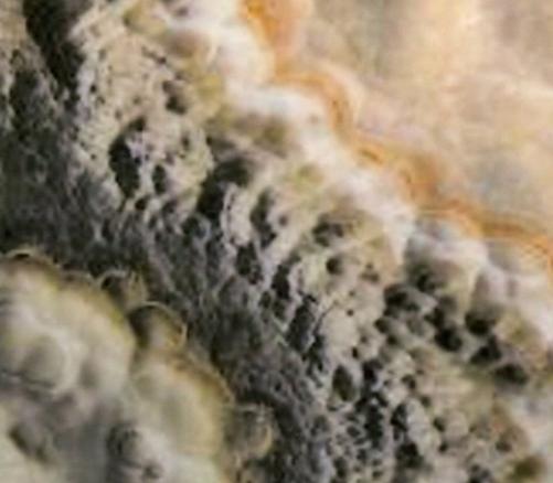 Technisches Detail: Black Cloud Pakistanischer polierte Natur, Onyx 